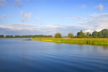 Müritz